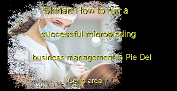 Skinart How to run a successful microblading business management in Pie Del Cerro area | MicrobladingTraining | MicrobladingClasses | SkinartTraining-Dominican Republic